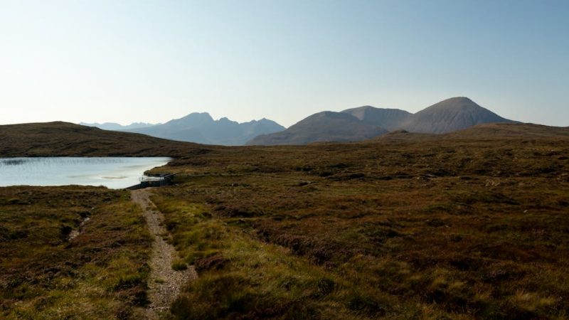 Ravens Secure AFC North Title With Dominant 35-10 Victory Over Browns
