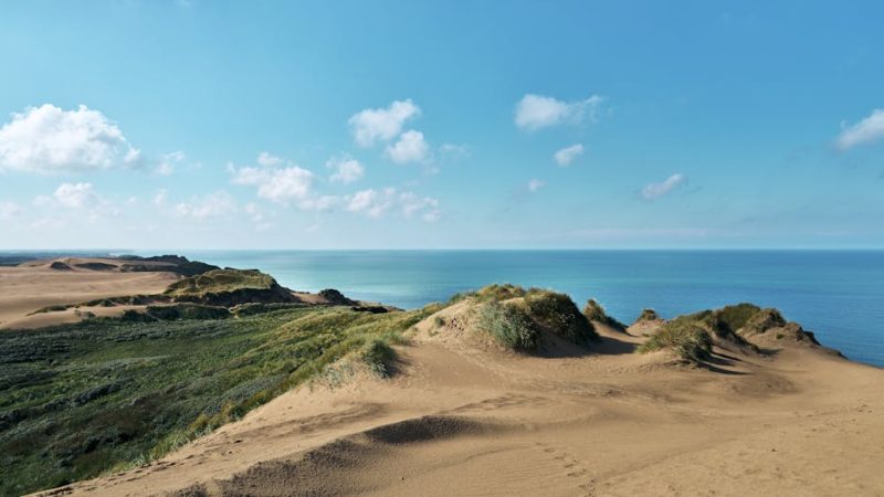 Ravens Secure AFC North Title With 35-10 Victory Over Browns